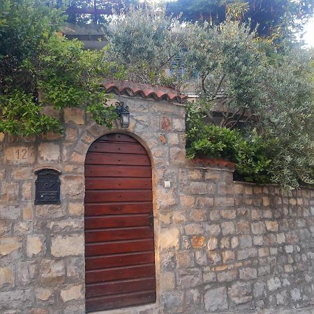 Sea-Side Old Stone Villa With A Private Garden Будва Екстер'єр фото
