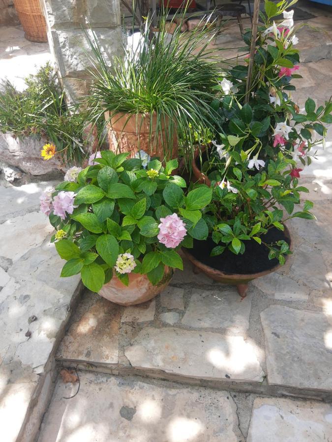 Sea-Side Old Stone Villa With A Private Garden Будва Екстер'єр фото