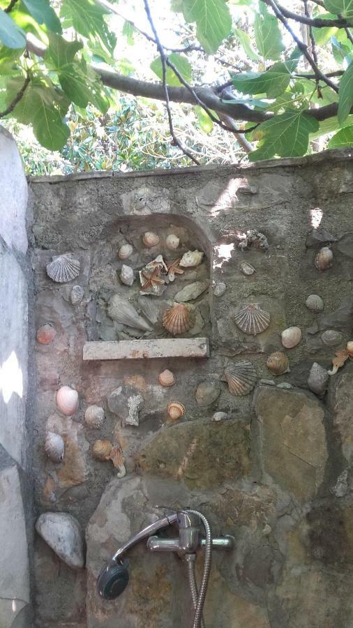 Sea-Side Old Stone Villa With A Private Garden Будва Екстер'єр фото